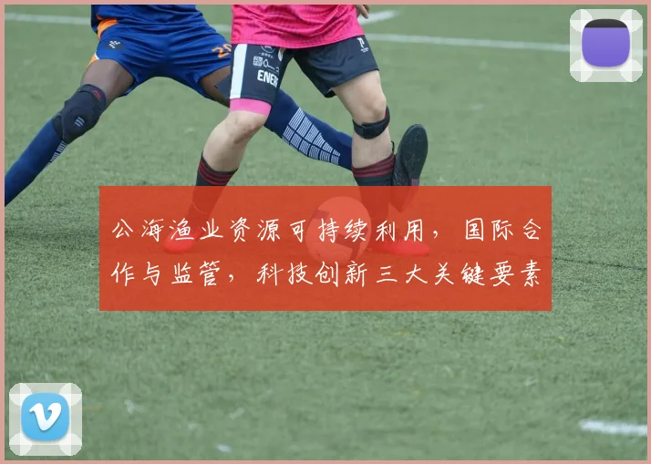 公海渔业资源可持续利用，国际合作与监管，科技创新三大关键要素，助力海洋生态平衡。