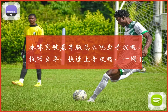 冰球突破豪华版怎么玩新手攻略，技巧分享，快速上手攻略，一网打尽