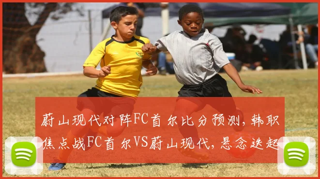蔚山现代对阵FC首尔比分预测,韩职焦点战FC首尔VS蔚山现代,悬念迭起