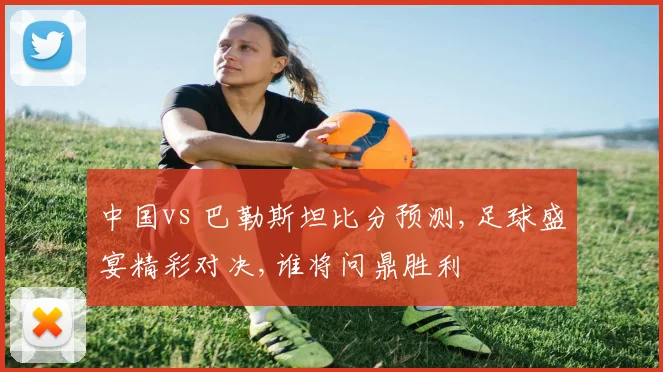 中国vs 巴勒斯坦比分预测,足球盛宴精彩对决,谁将问鼎胜利