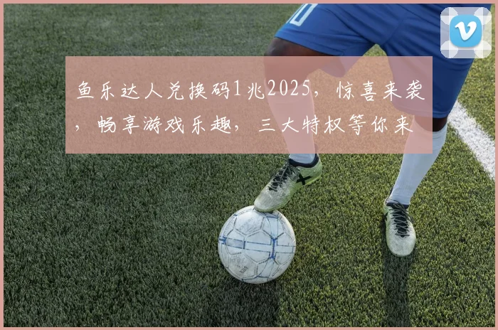 鱼乐达人兑换码1兆2025，惊喜来袭，畅享游戏乐趣，三大特权等你来拿